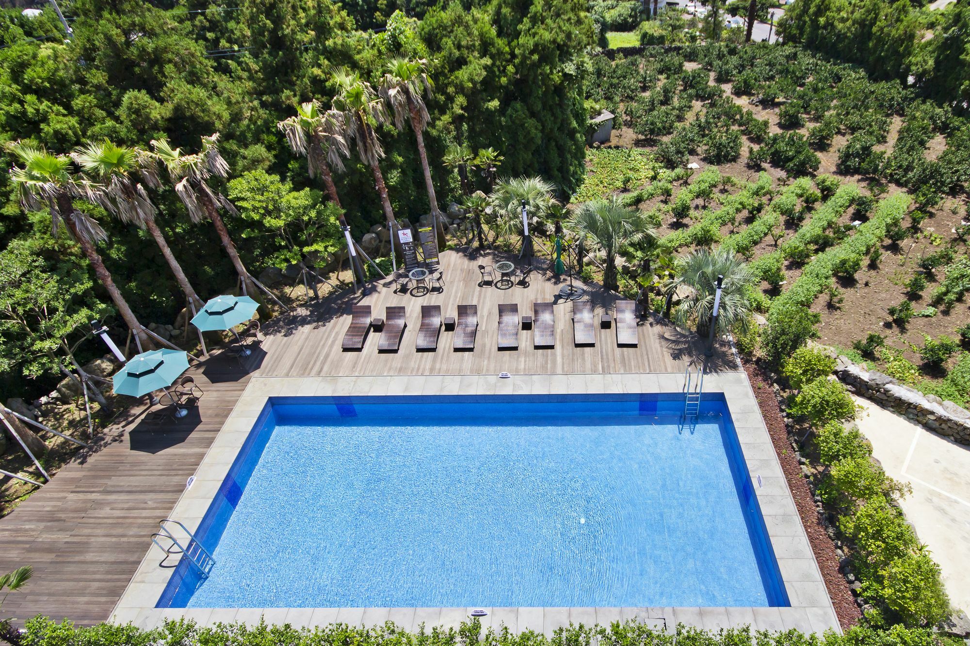 Sunrise Hotel Jungmun Branch Seogwipo Exterior photo