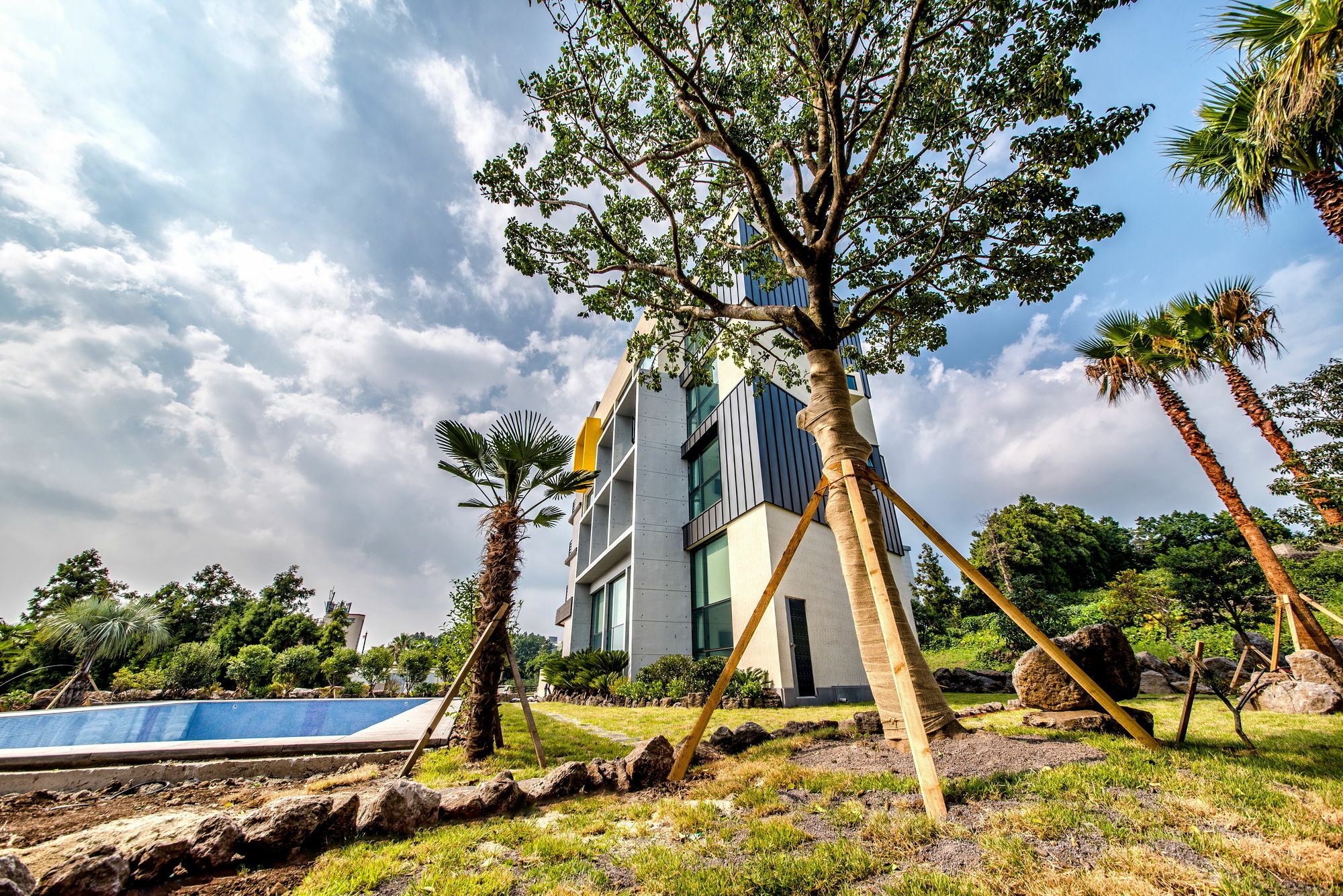 Sunrise Hotel Jungmun Branch Seogwipo Exterior photo